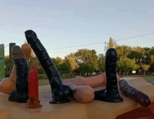 Insólito: Apareció una colección de juguetes sexuales en una plaza